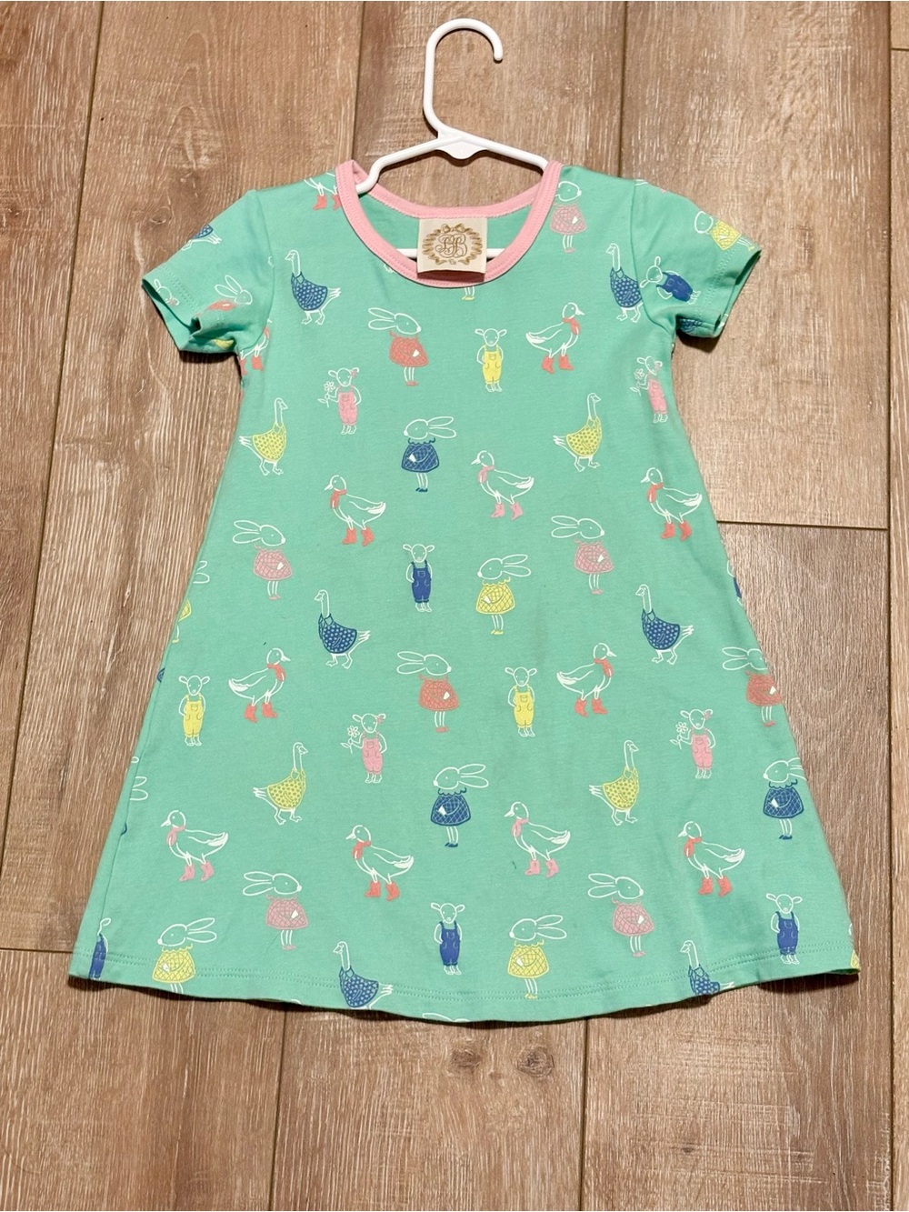 TBBC Girls' Mint Green Animal Print Polly Dress with Pink Trim